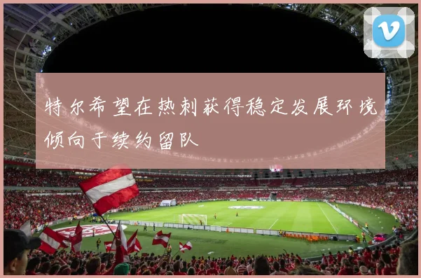 特尔希望在热刺获得稳定发展环境倾向于续约留队