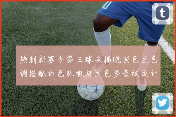 热刺新赛季第三球衣揭晓紫色主色调搭配白色队徽与黑色竖条纹设计